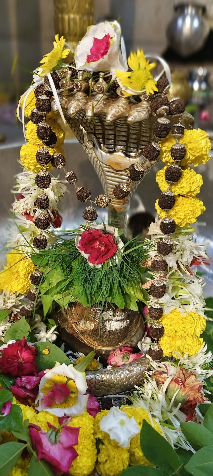 Shangar Darshan Shree Kubereshwar Mahadev