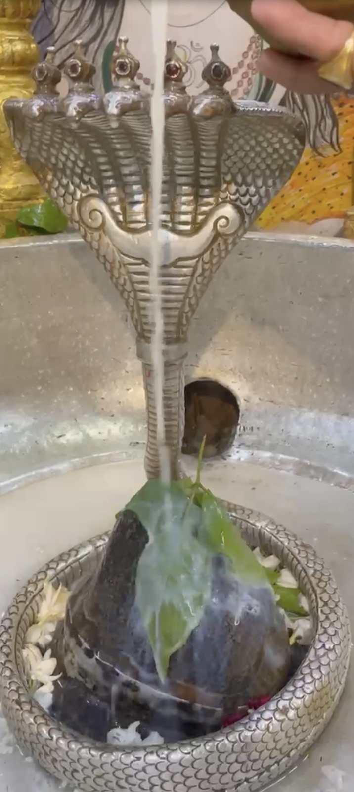 Rudrabhishek to Shree Kubereshwar Mahadev