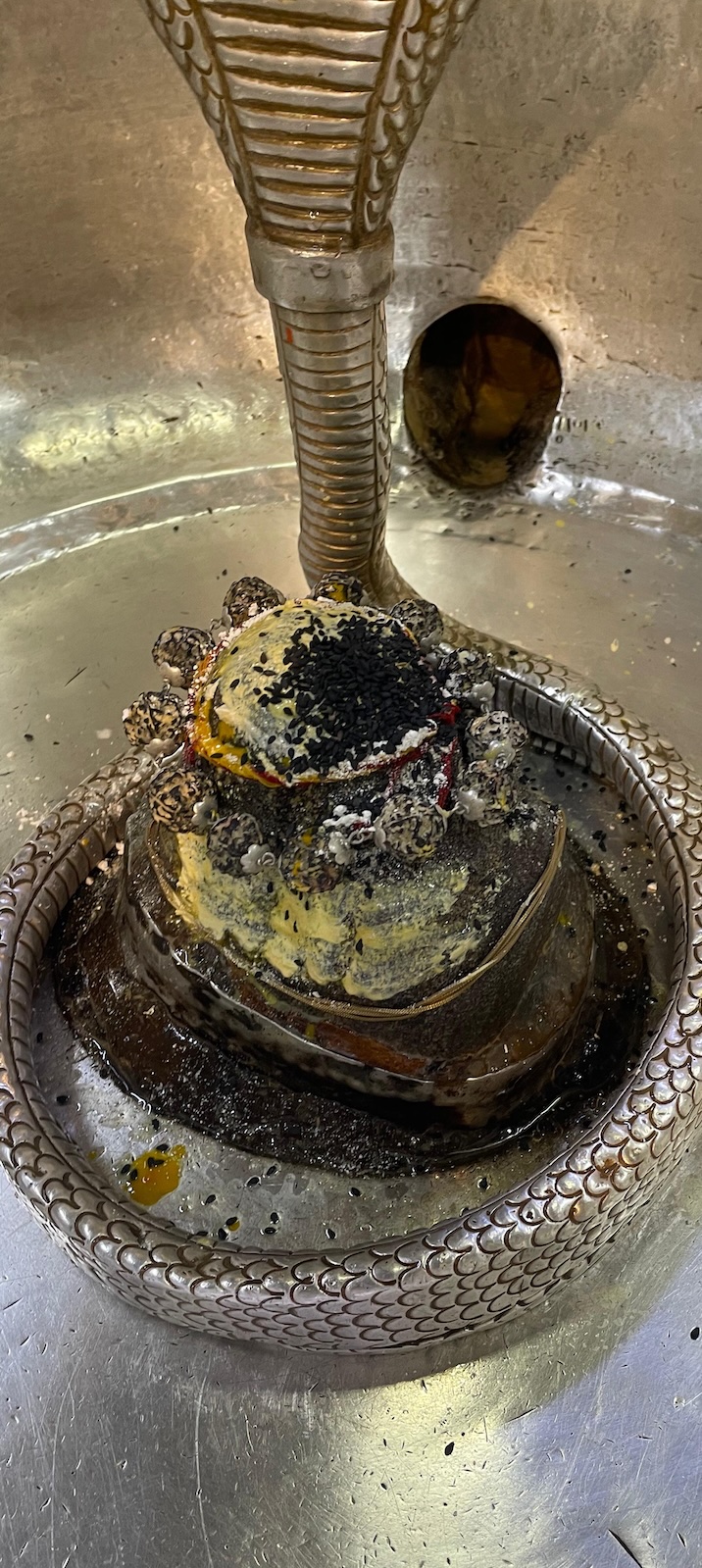 Rudrabhishek to Shree Kubereshwar Mahadev
