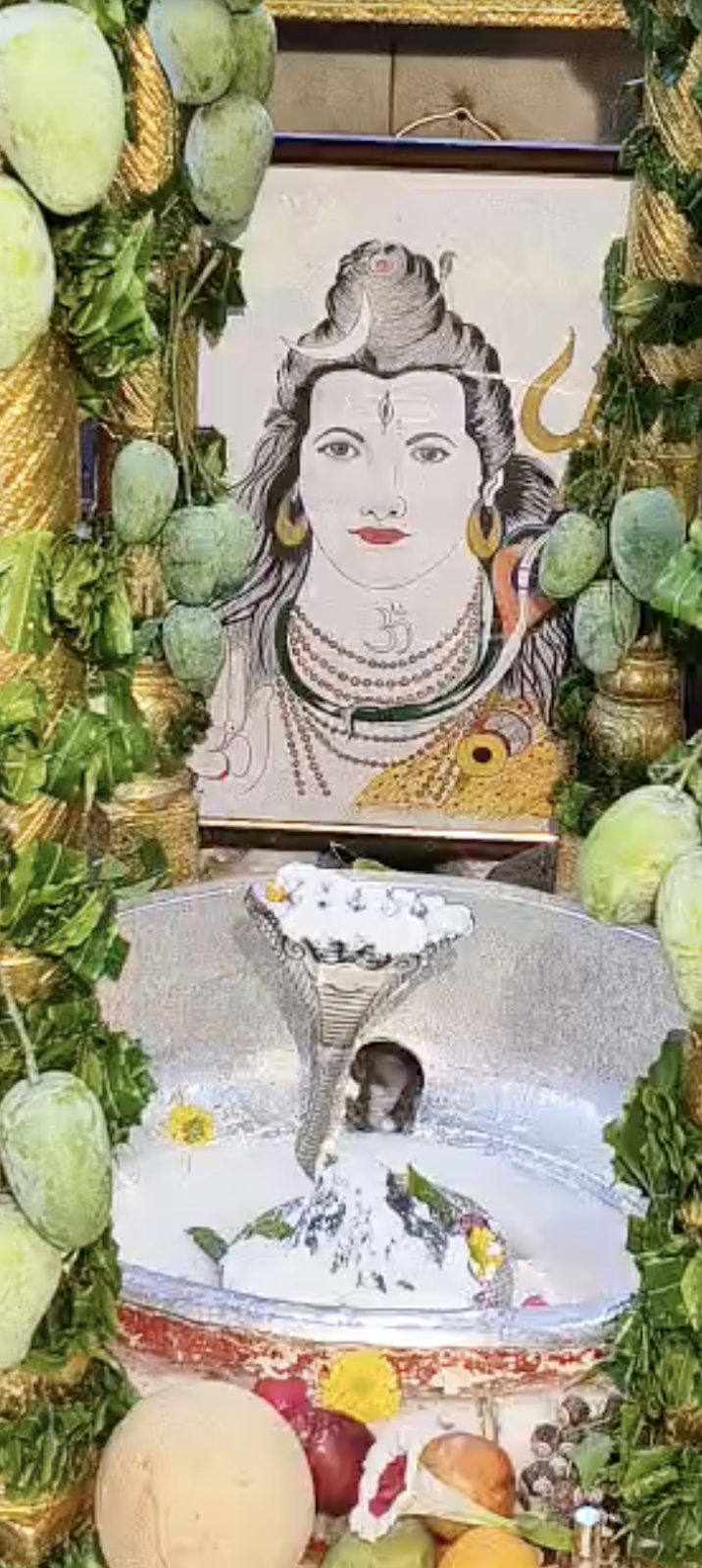 Rudrabhishek to Shree Kubereshwar Mahadev
