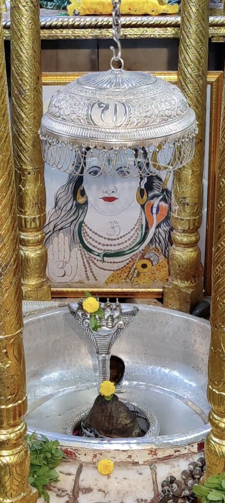 Rudrabhishek to Shree Kubereshwar Mahadev