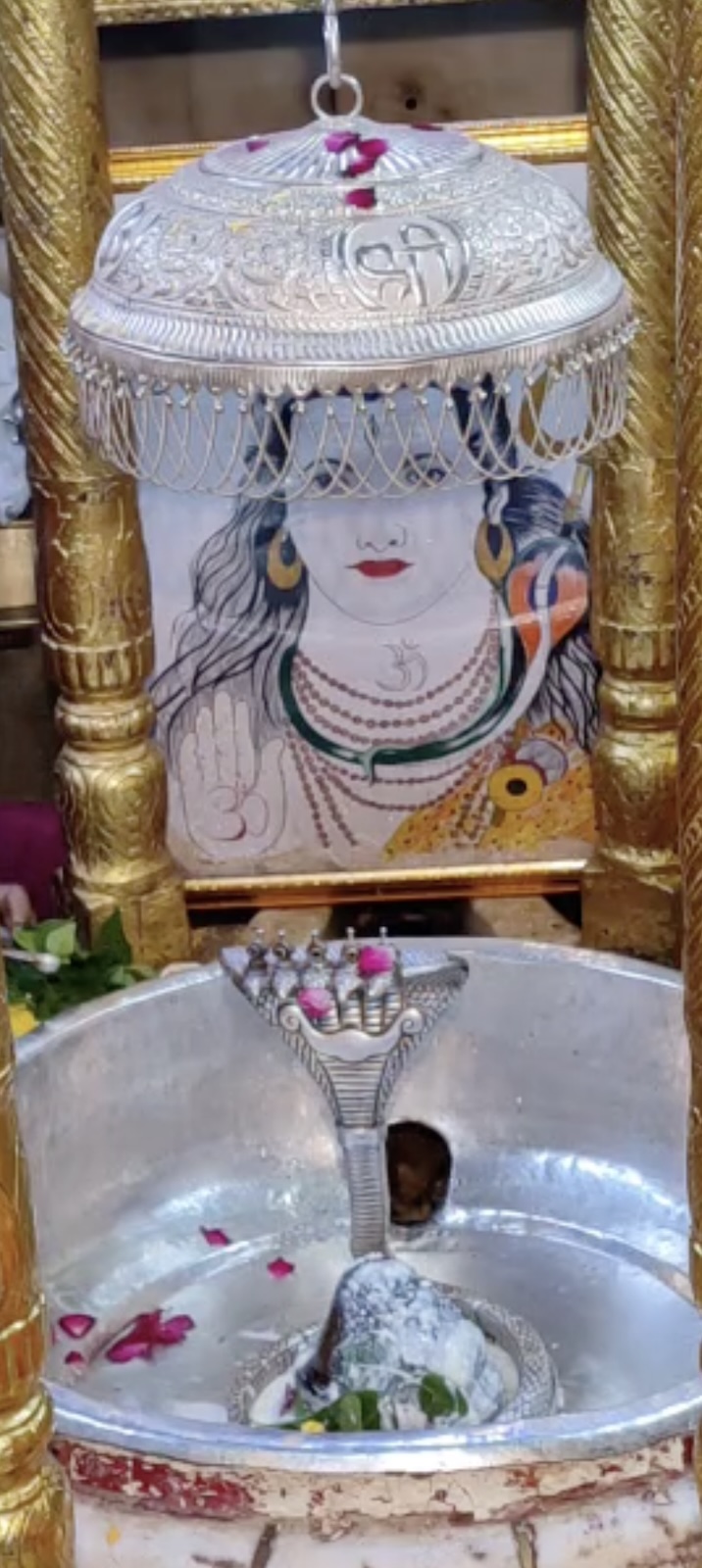 Rudrabhishek to Shree Kubereshwar Mahadev