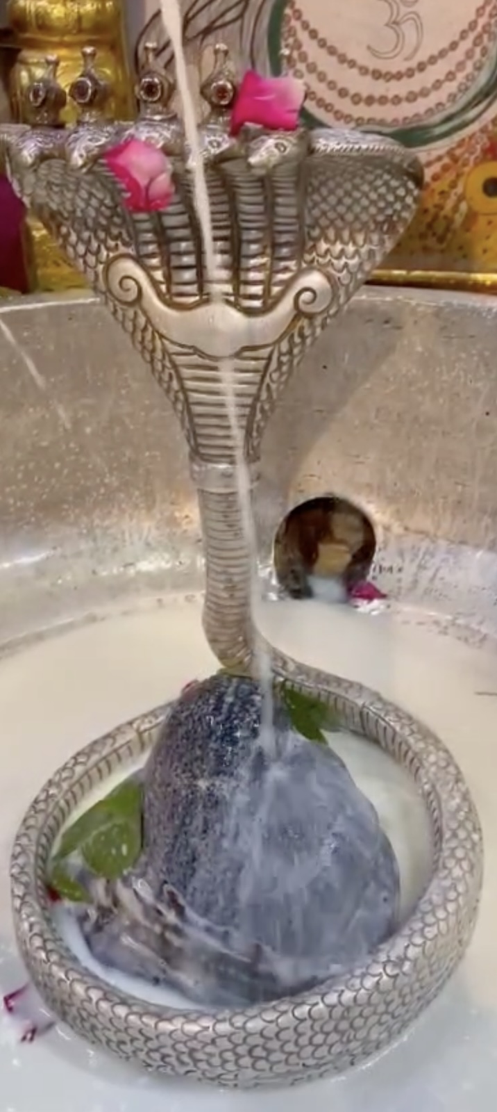 Rudrabhishek to Shree Kubereshwar Mahadev