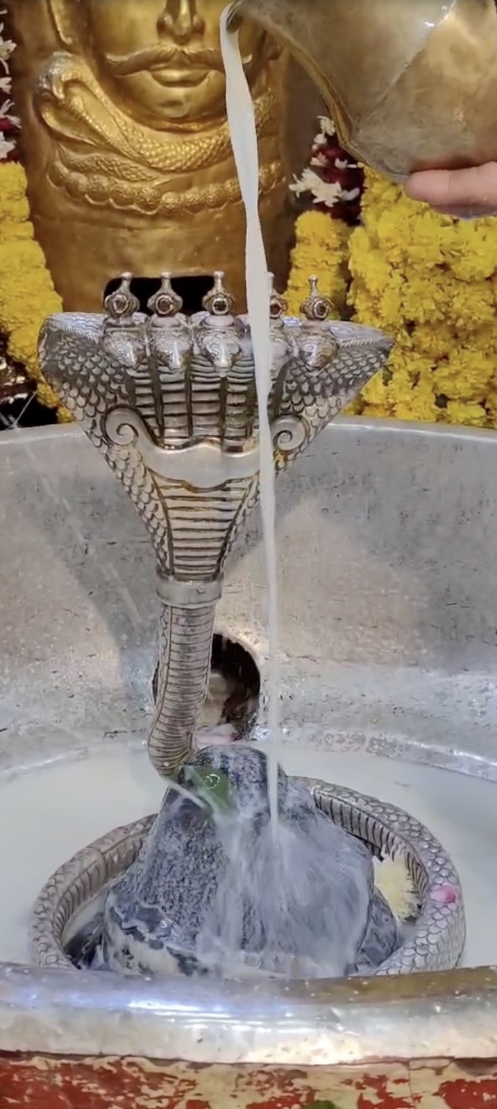 Rudrabhishek to Shree Kubereshwar Mahadev