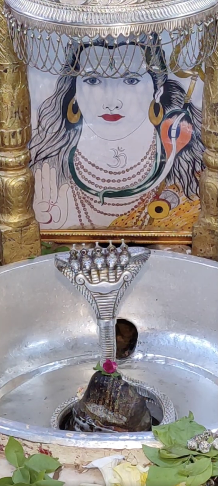Rudrabhishek to Shree Kubereshwar Mahadev