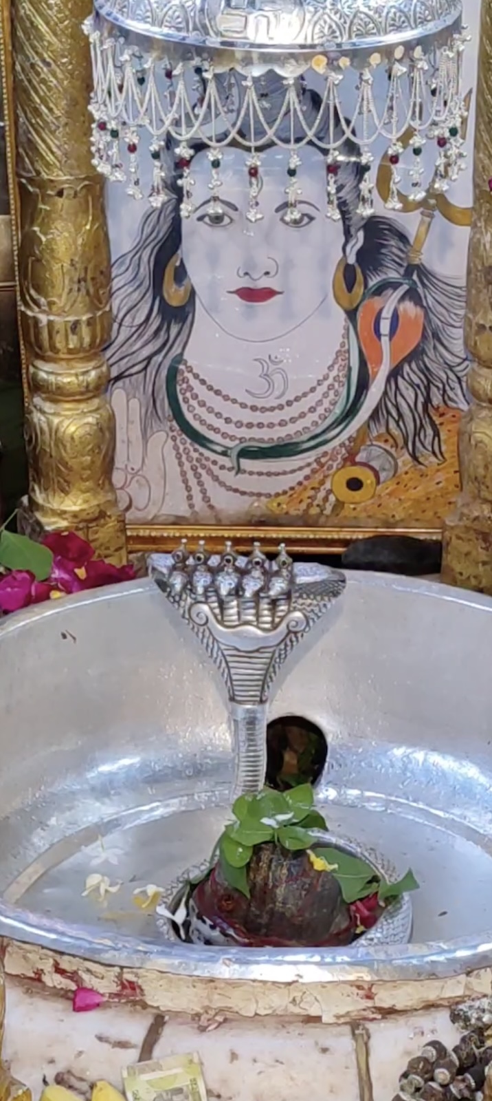 Rudrabhishek to Shree Kubereshwar Mahadev
