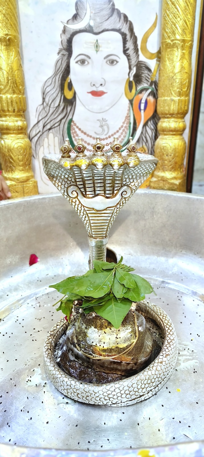 Shangar Darshan Shree Kubereshwar Mahadev