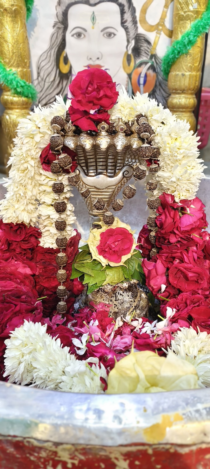 Rudrabhishek to Shree Kubereshwar Mahadev