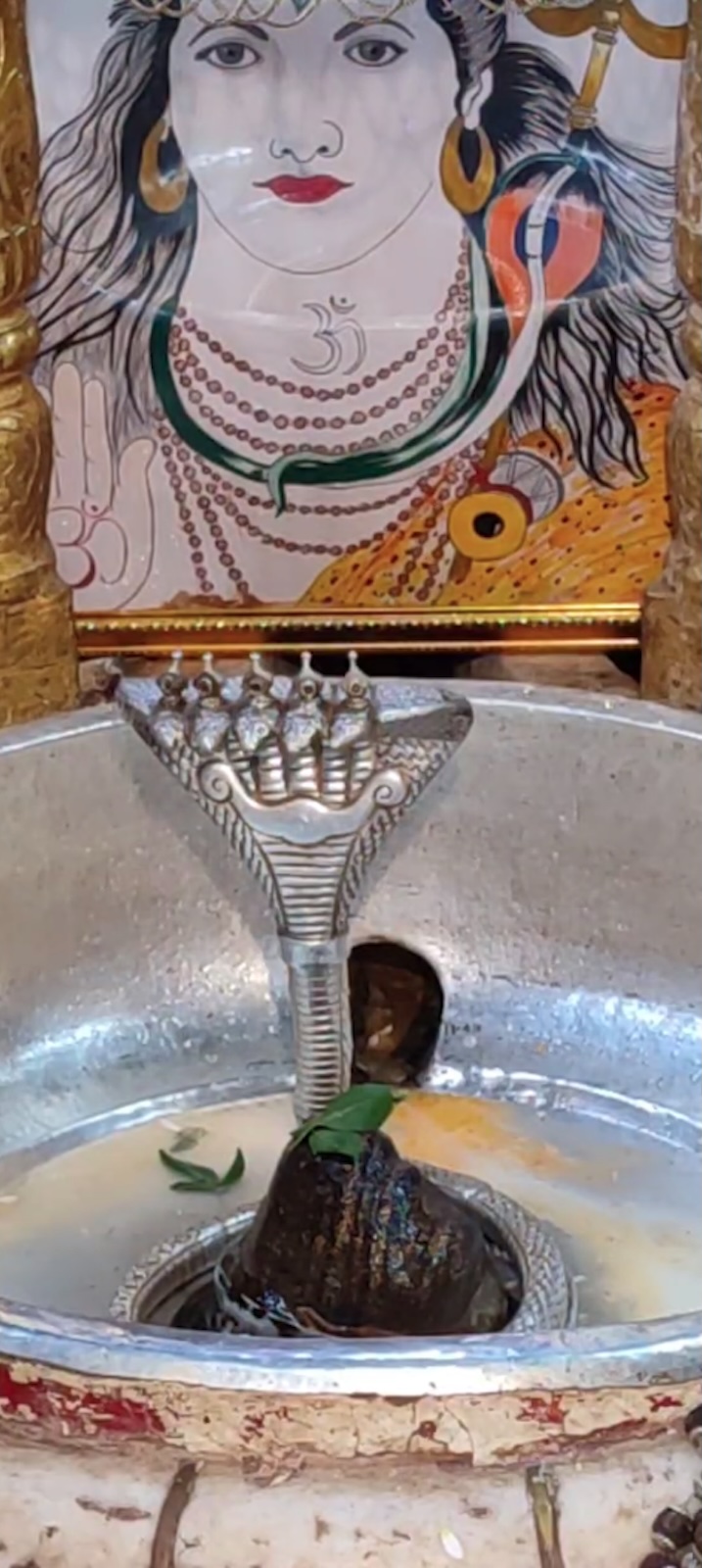 Rudrabhishek to Shree Kubereshwar Mahadev