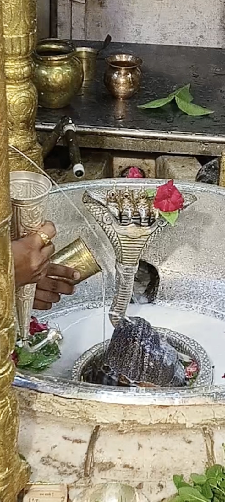 Rudrabhishek to Shree Kubereshwar Mahadev