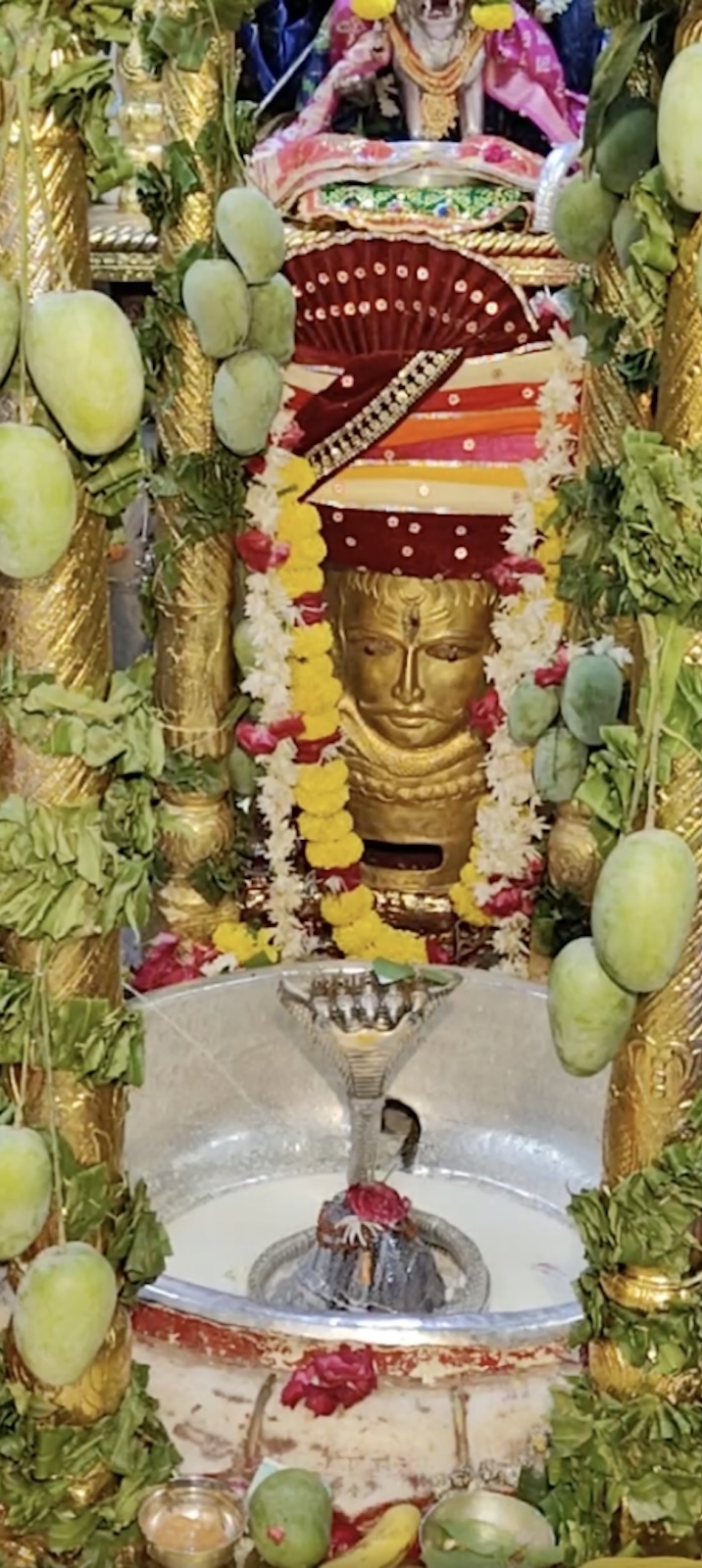 Rudrabhishek to Shree Kubereshwar Mahadev