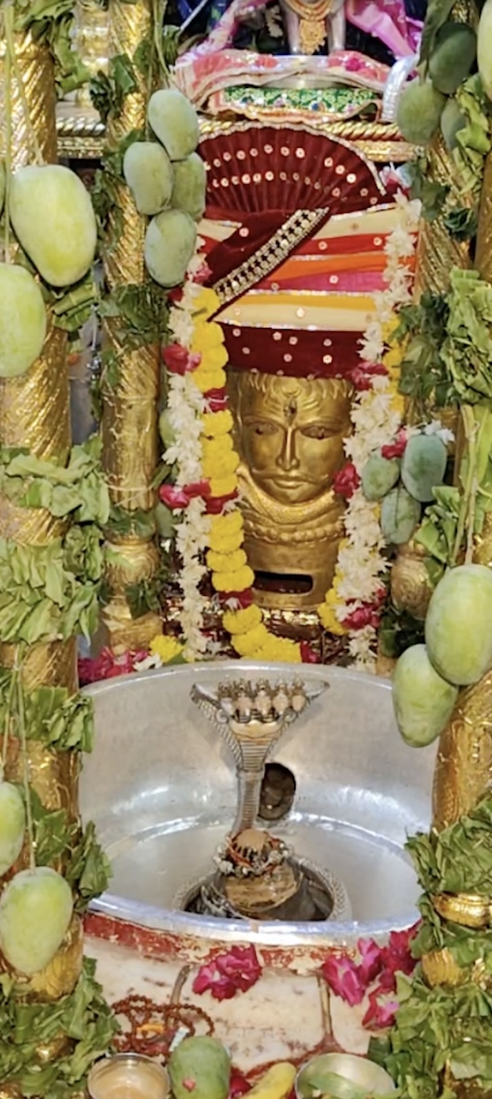 Rudrabhishek to Shree Kubereshwar Mahadev