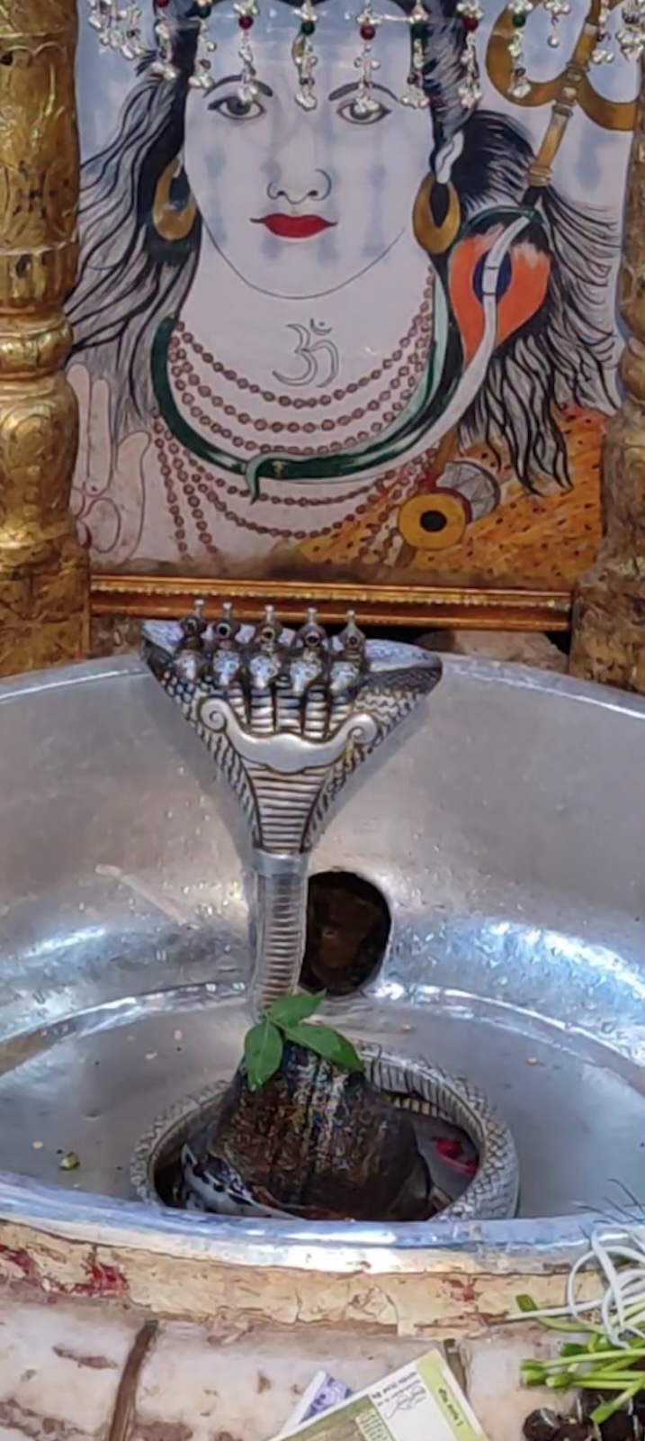 Rudrabhishek to Shree Kubereshwar Mahadev