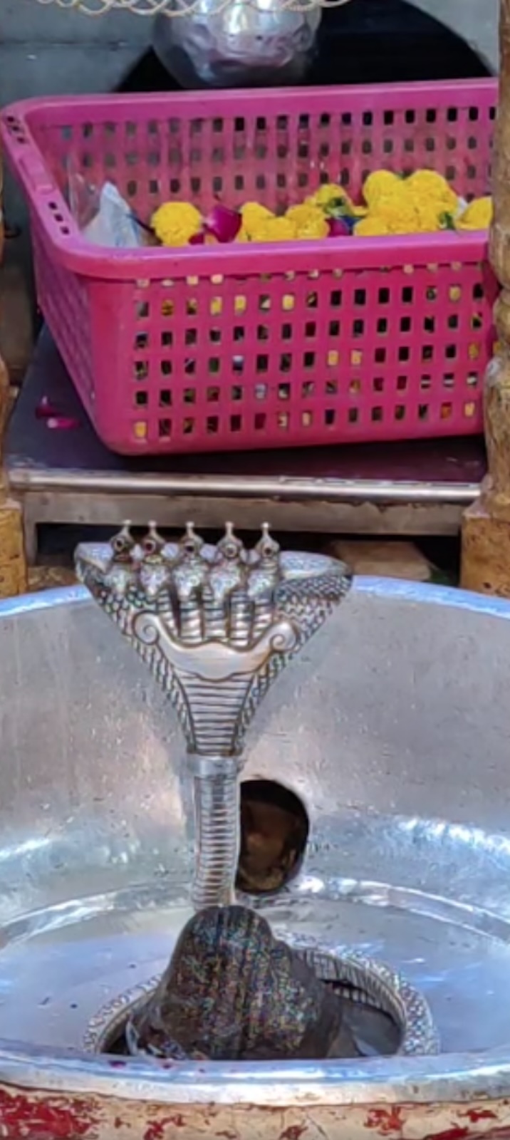 Rudrabhishek to Shree Kubereshwar Mahadev