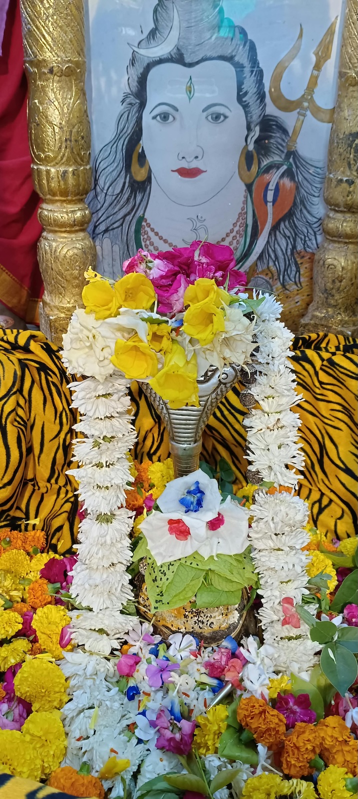 Rudrabhishek to Shree Kubereshwar Mahadev