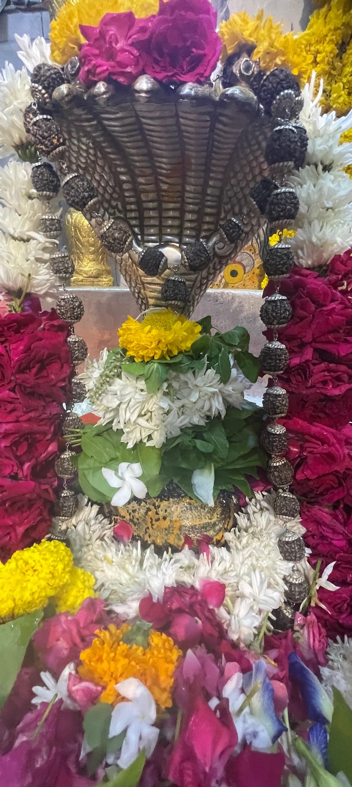 Rudrabhishek to Shree Kubereshwar Mahadev
