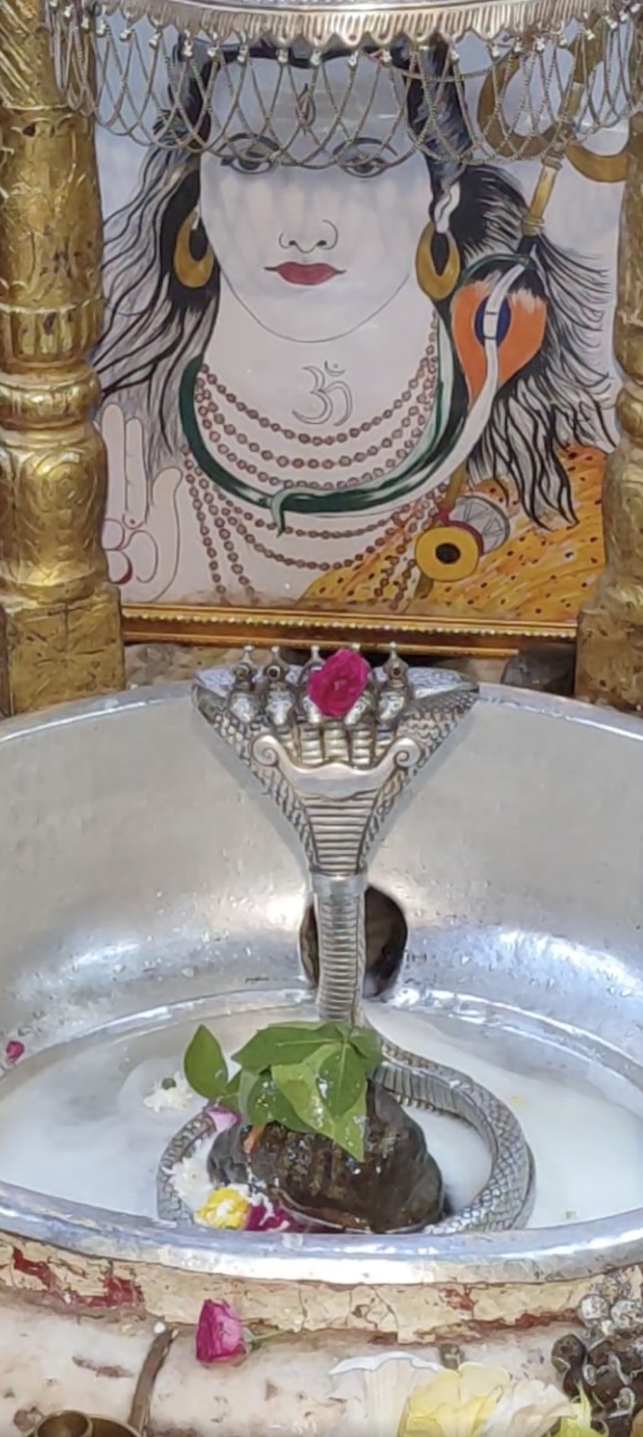 Rudrabhishek to Shree Kubereshwar Mahadev