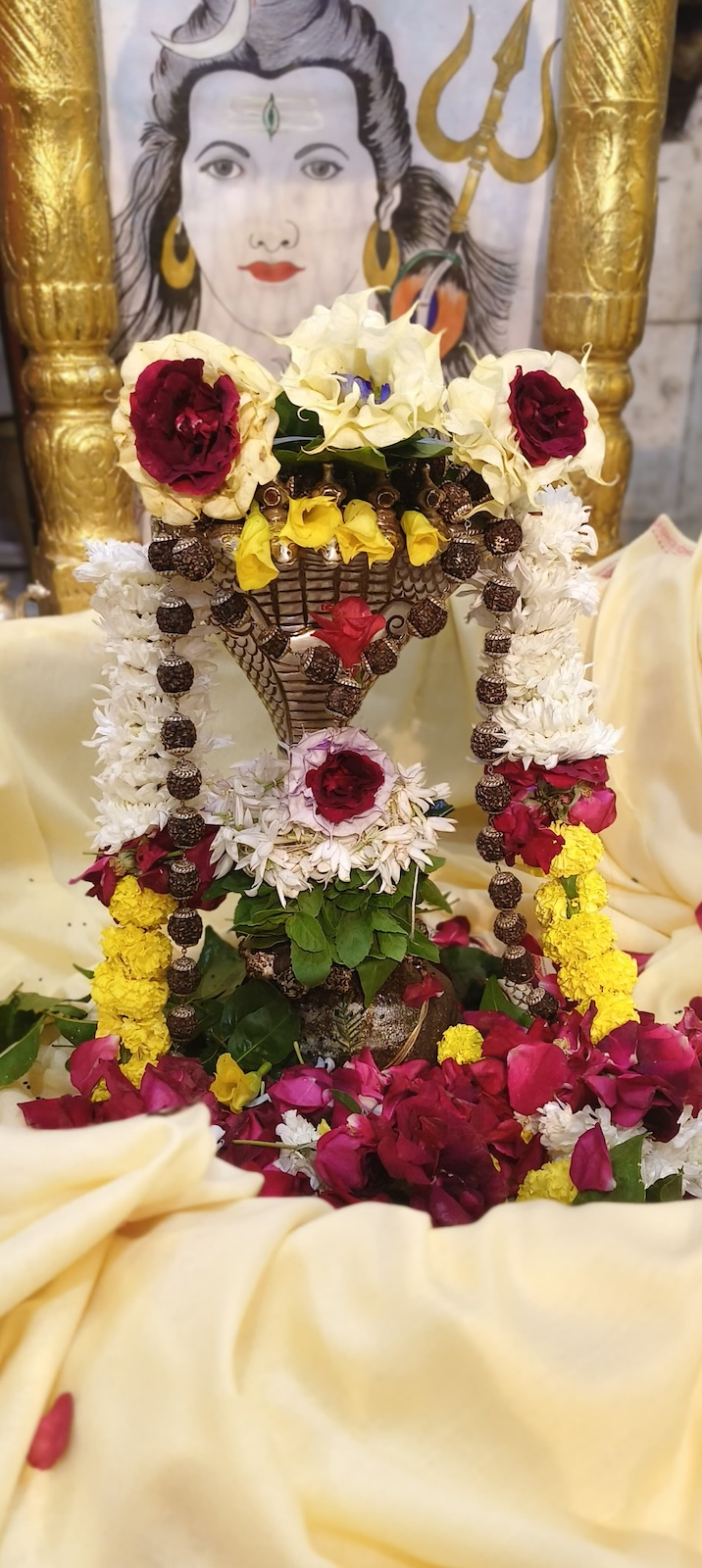 Rudrabhishek to Shree Kubereshwar Mahadev