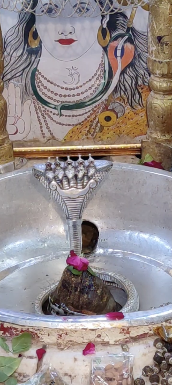 Rudrabhishek to Shree Kubereshwar Mahadev