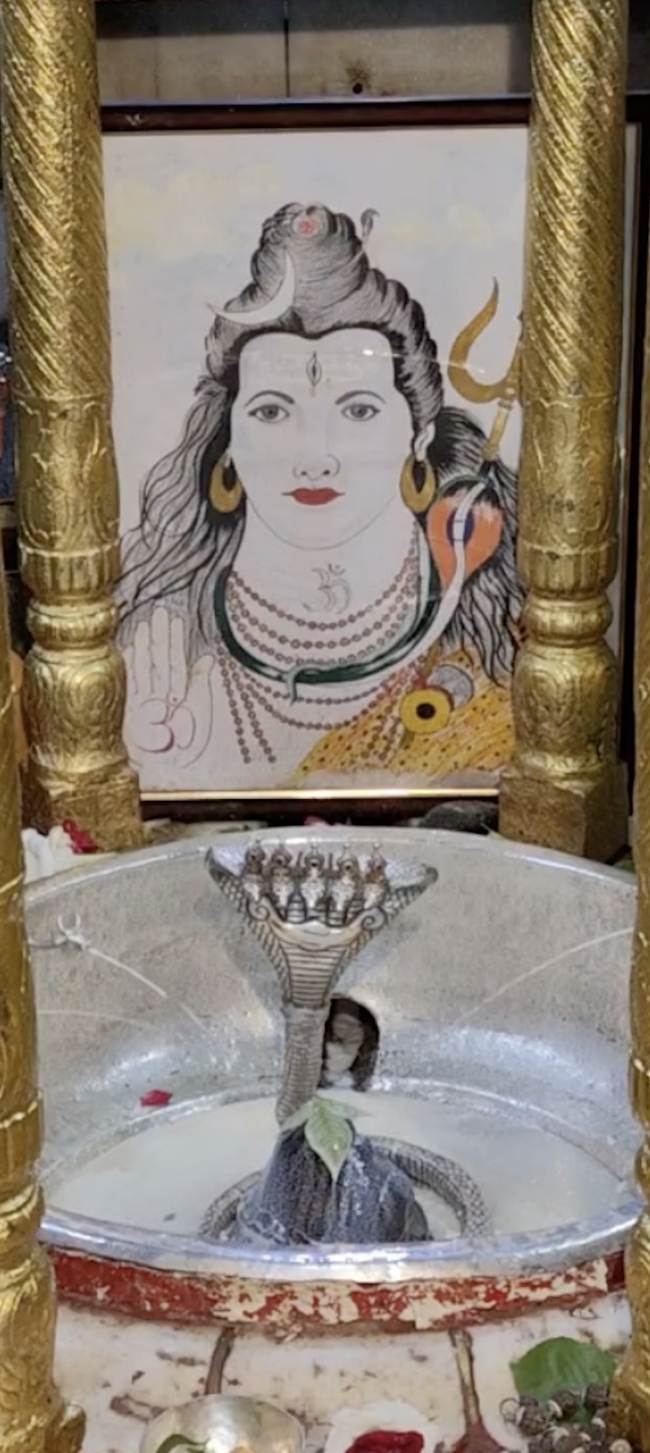 Rudrabhishek to Shree Kubereshwar Mahadev