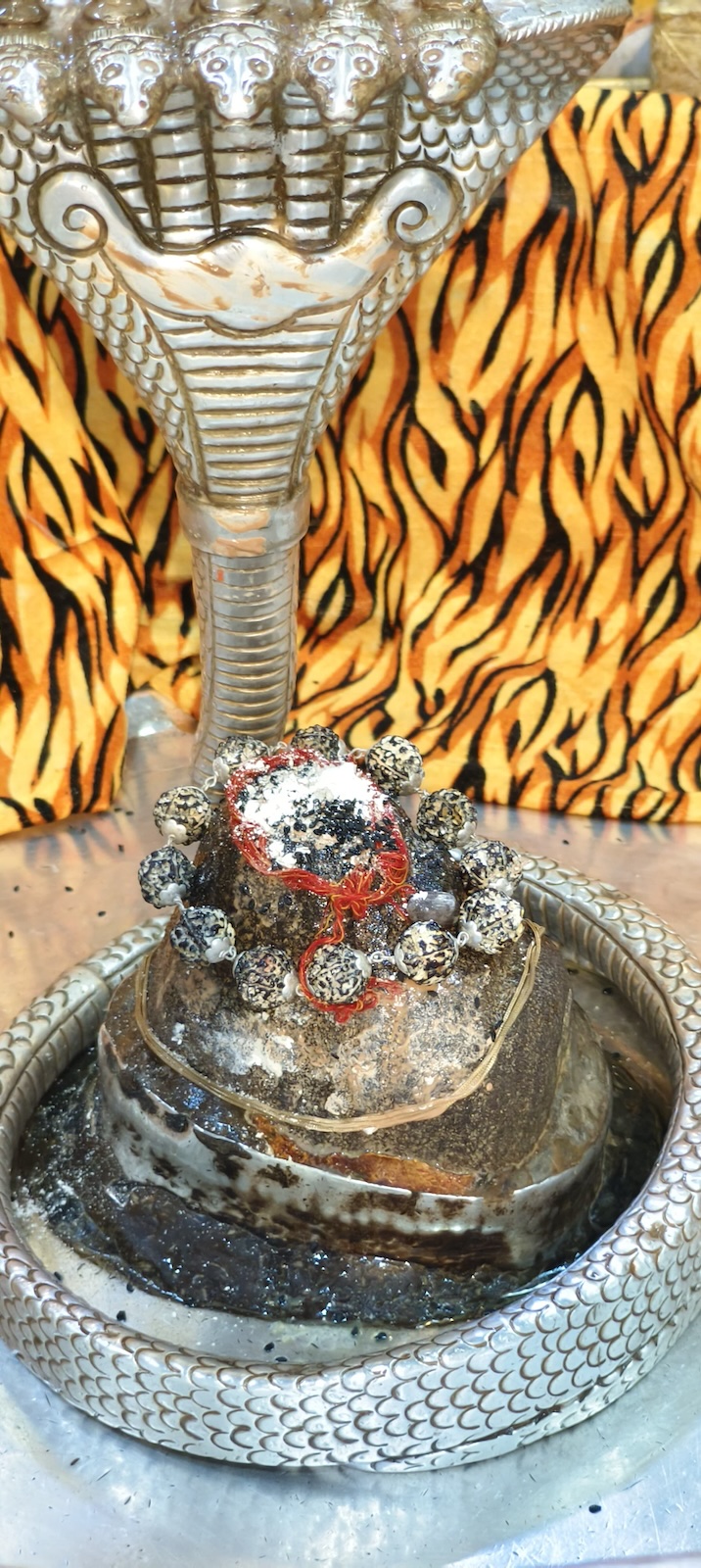 Rudrabhishek to Shree Kubereshwar Mahadev