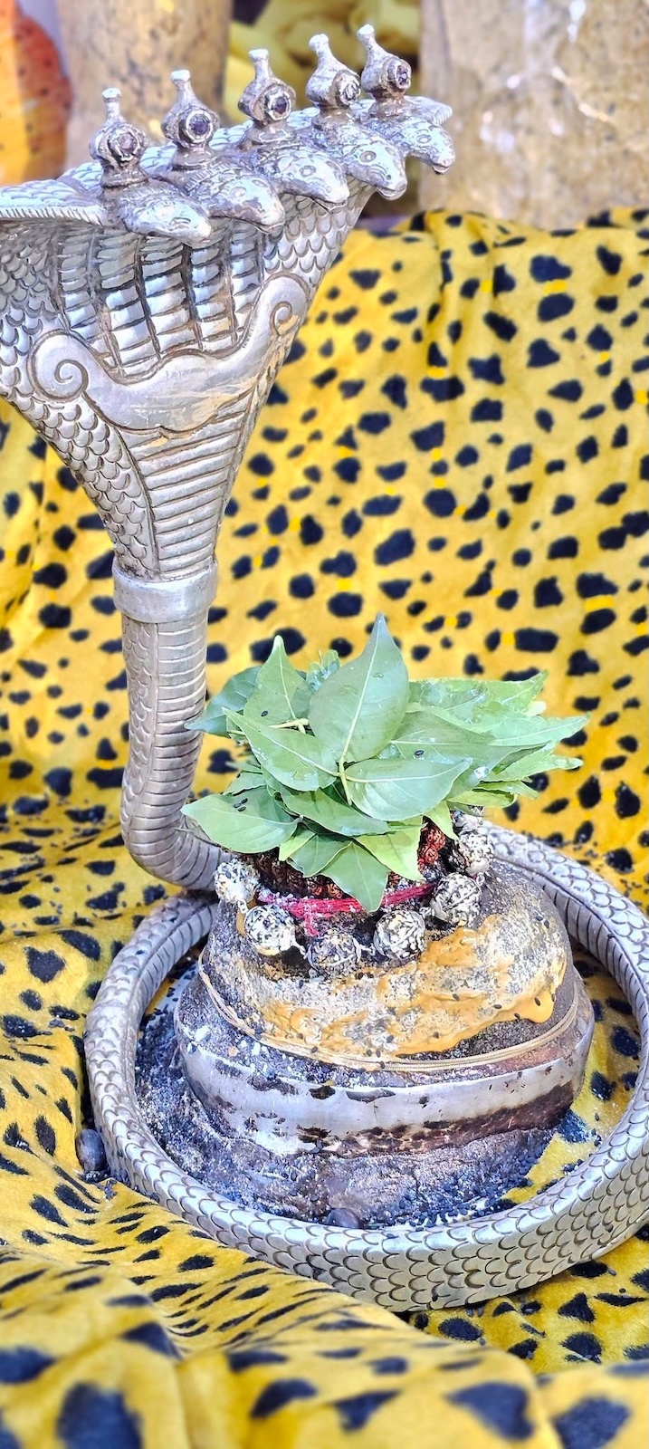 Rudrabhishek to Shree Kubereshwar Mahadev