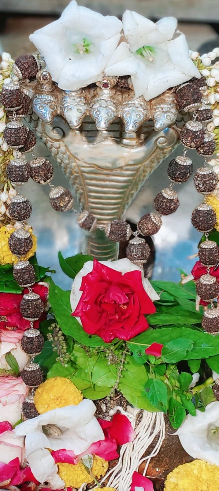 Shangar Darshan Shree Kubereshwar Mahadev