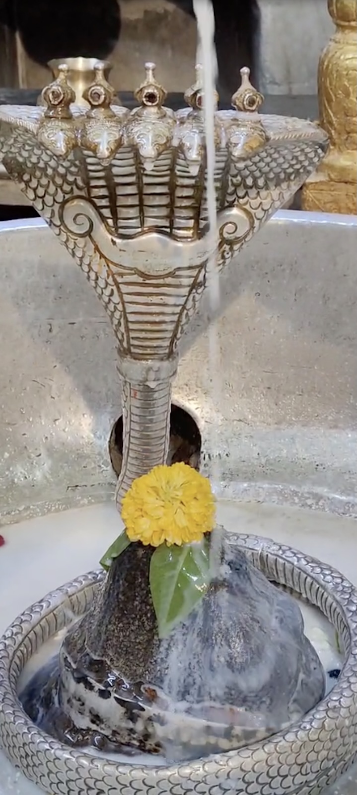 Rudrabhishek to Shree Kubereshwar Mahadev