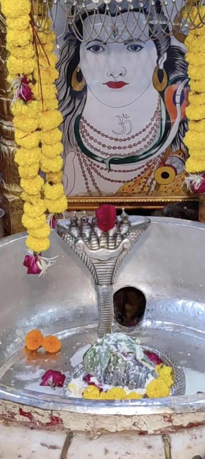Rudrabhishek to Shree Kubereshwar Mahadev