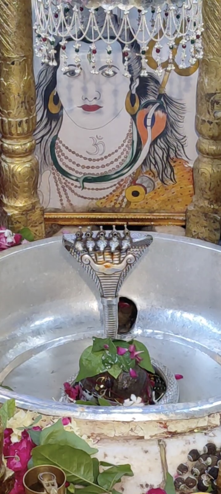 Rudrabhishek to Shree Kubereshwar Mahadev