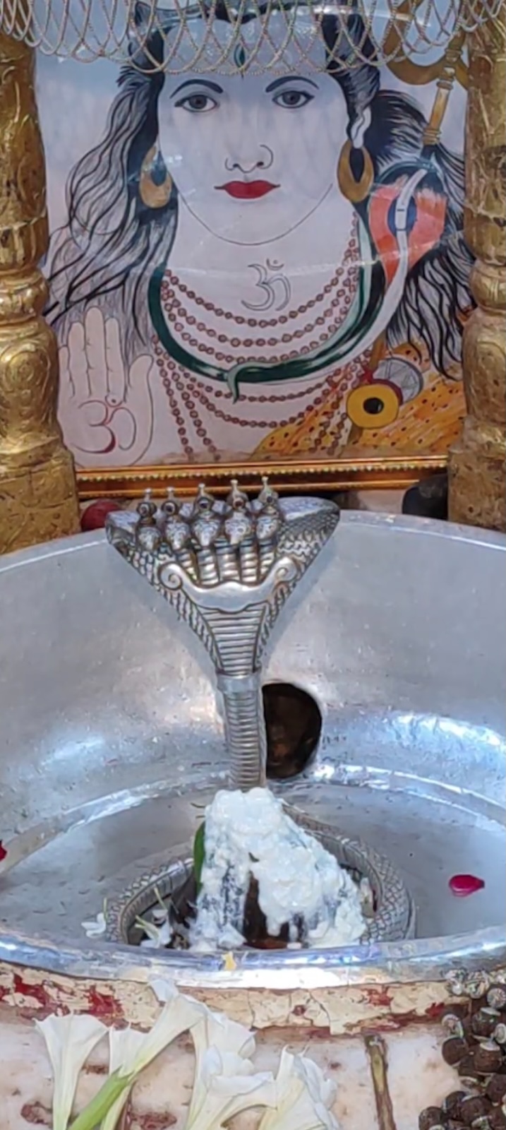 Rudrabhishek to Shree Kubereshwar Mahadev