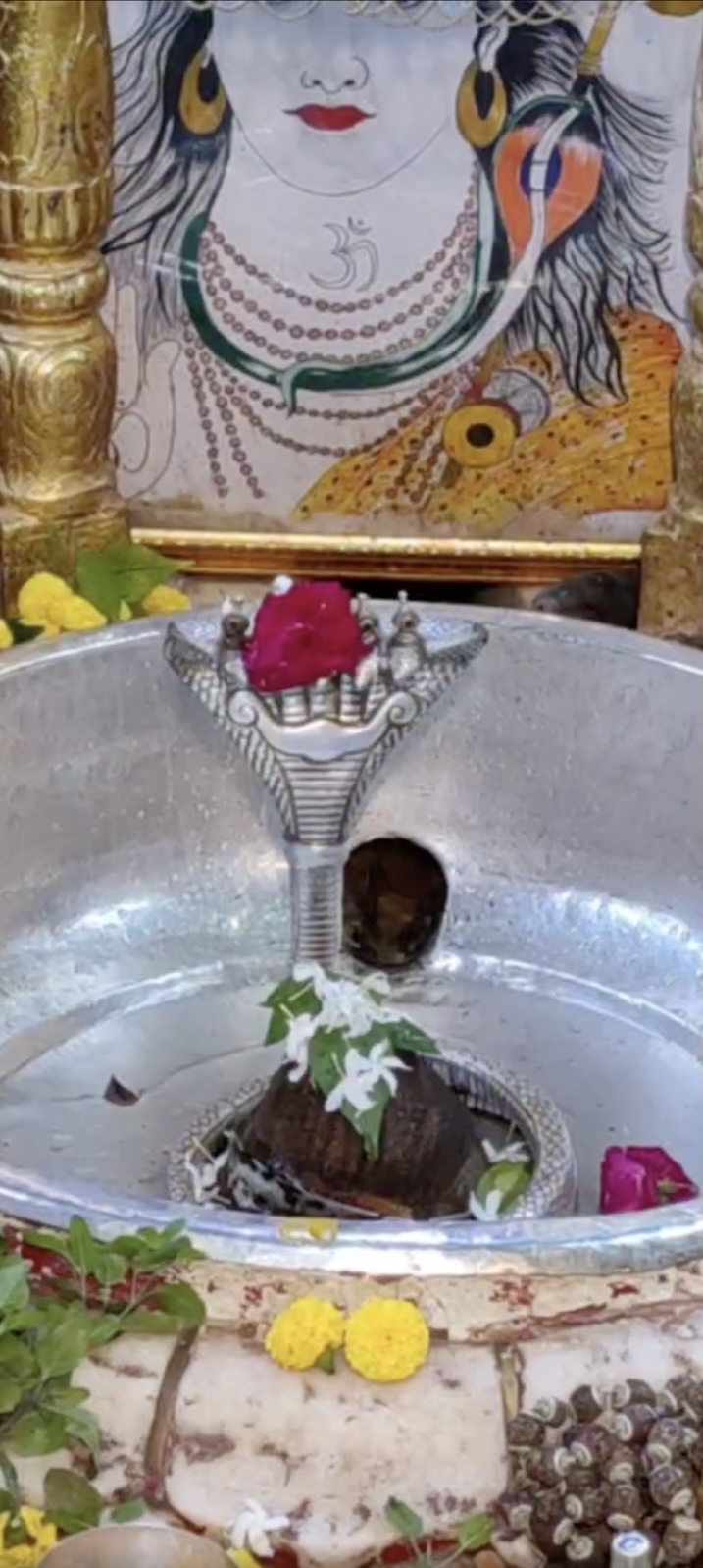 Rudrabhishek to Shree Kubereshwar Mahadev