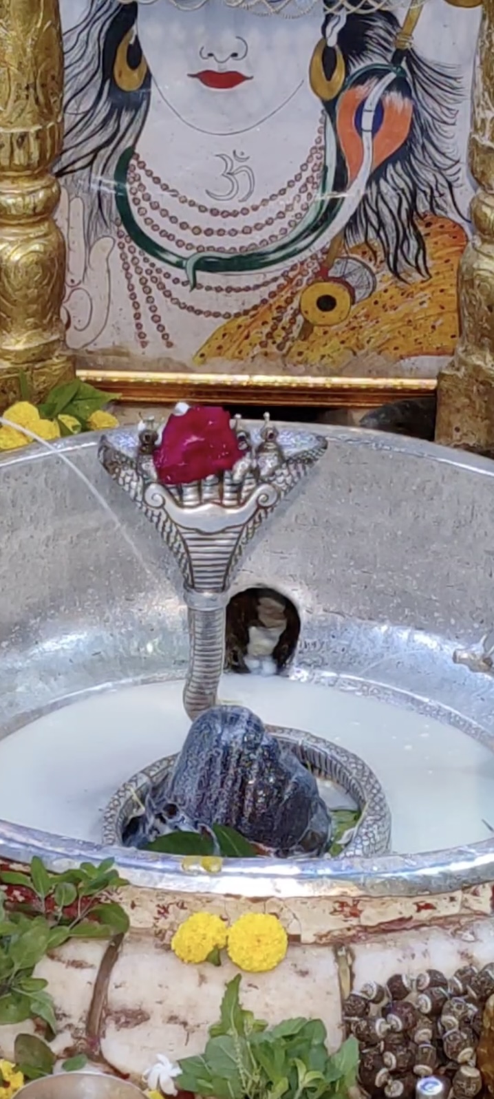 Rudrabhishek to Shree Kubereshwar Mahadev