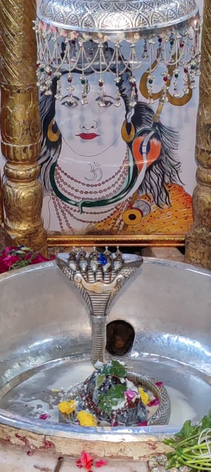Rudrabhishek to Shree Kubereshwar Mahadev