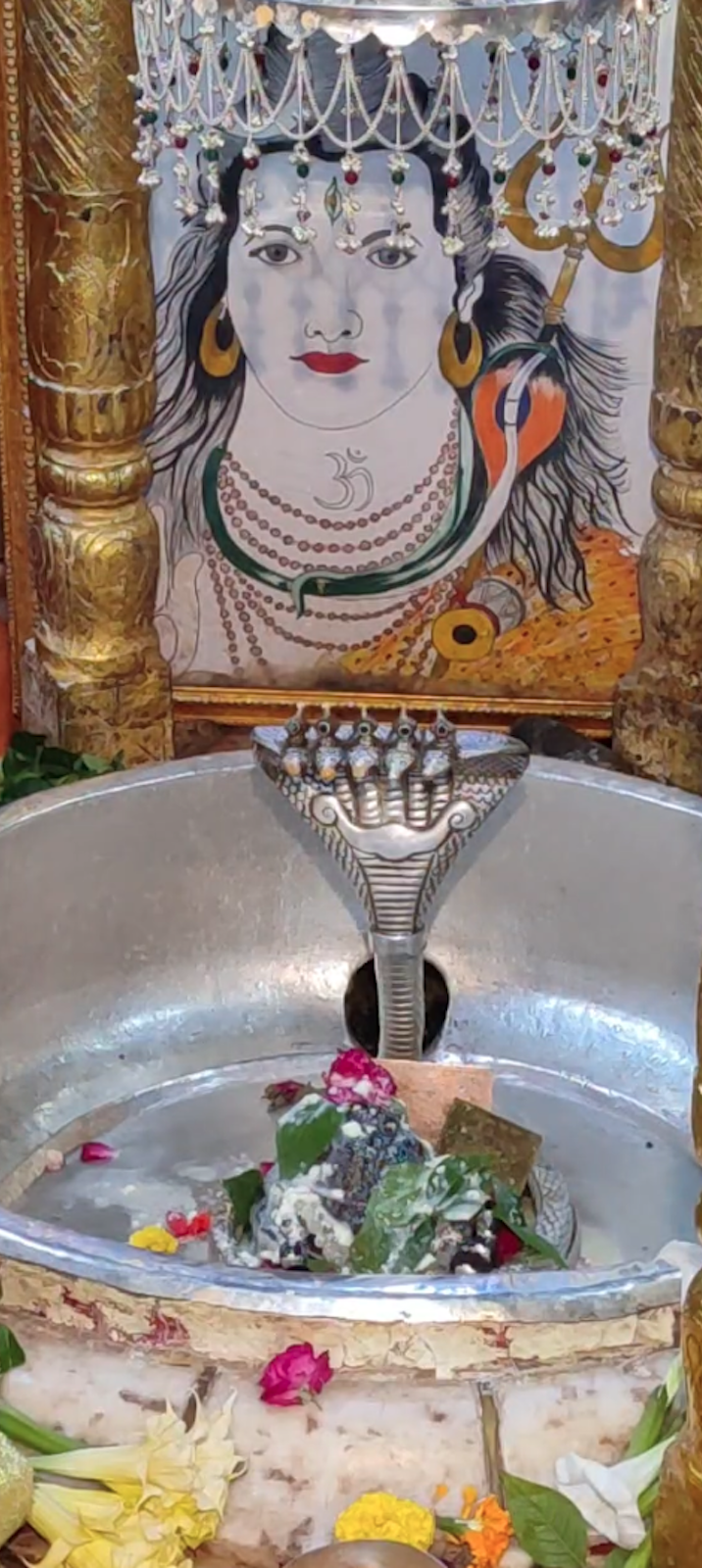 Rudrabhishek to Shree Kubereshwar Mahadev