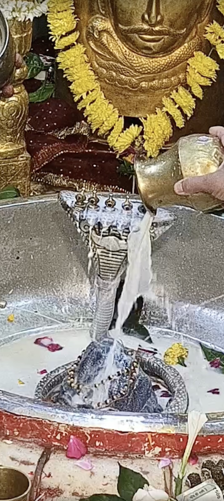 Rudrabhishek to Shree Kubereshwar Mahadev