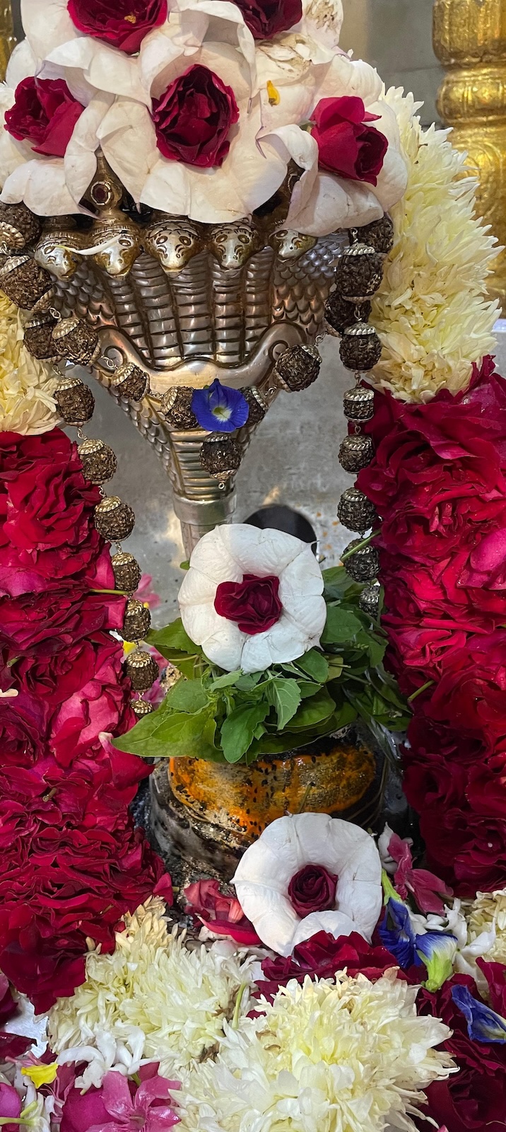 Shangar Darshan Shree Kubereshwar Mahadev