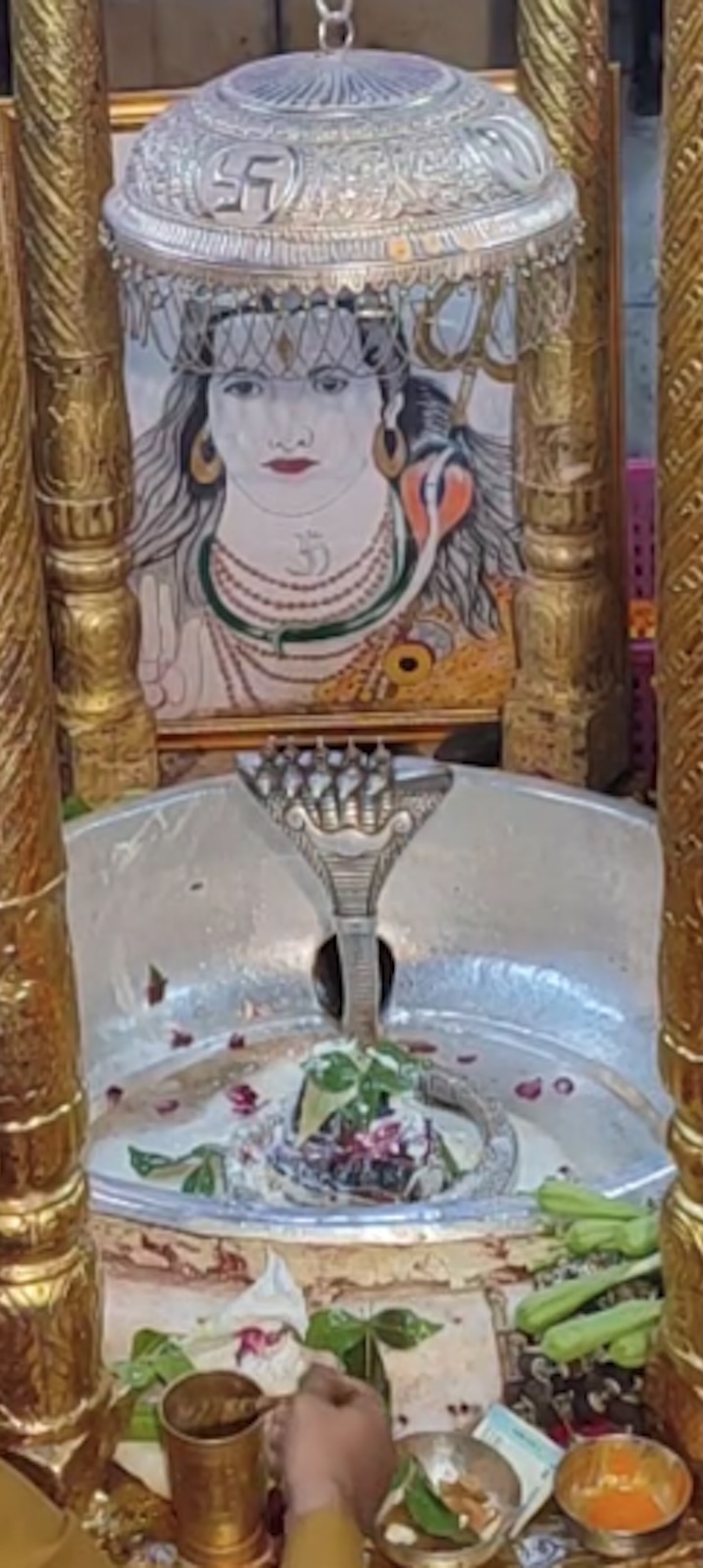 Rudrabhishek to Shree Kubereshwar Mahadev