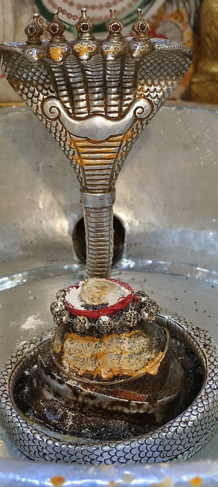 Rudrabhishek to Shree Kubereshwar Mahadev