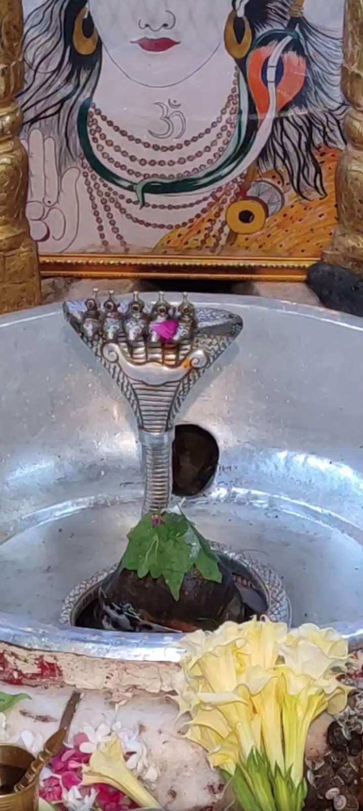 Rudrabhishek to Shree Kubereshwar Mahadev