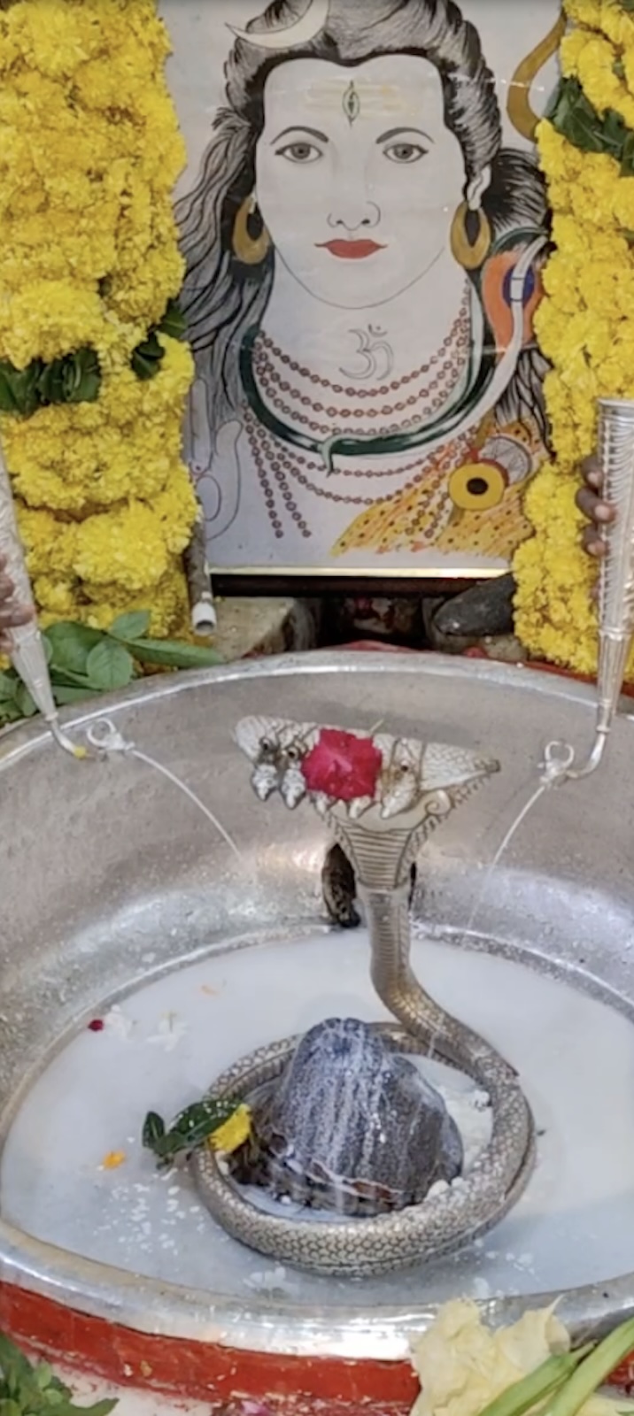 Rudrabhishek to Shree Kubereshwar Mahadev