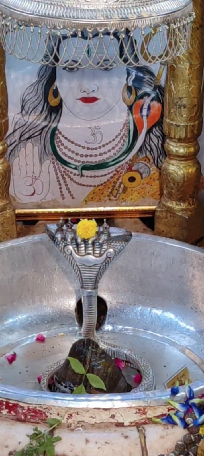 Rudrabhishek to Shree Kubereshwar Mahadev