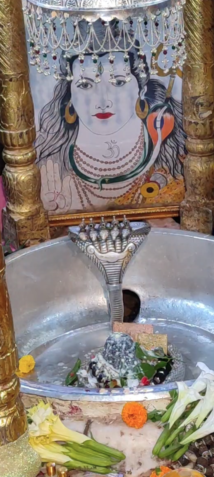 Rudrabhishek to Shree Kubereshwar Mahadev