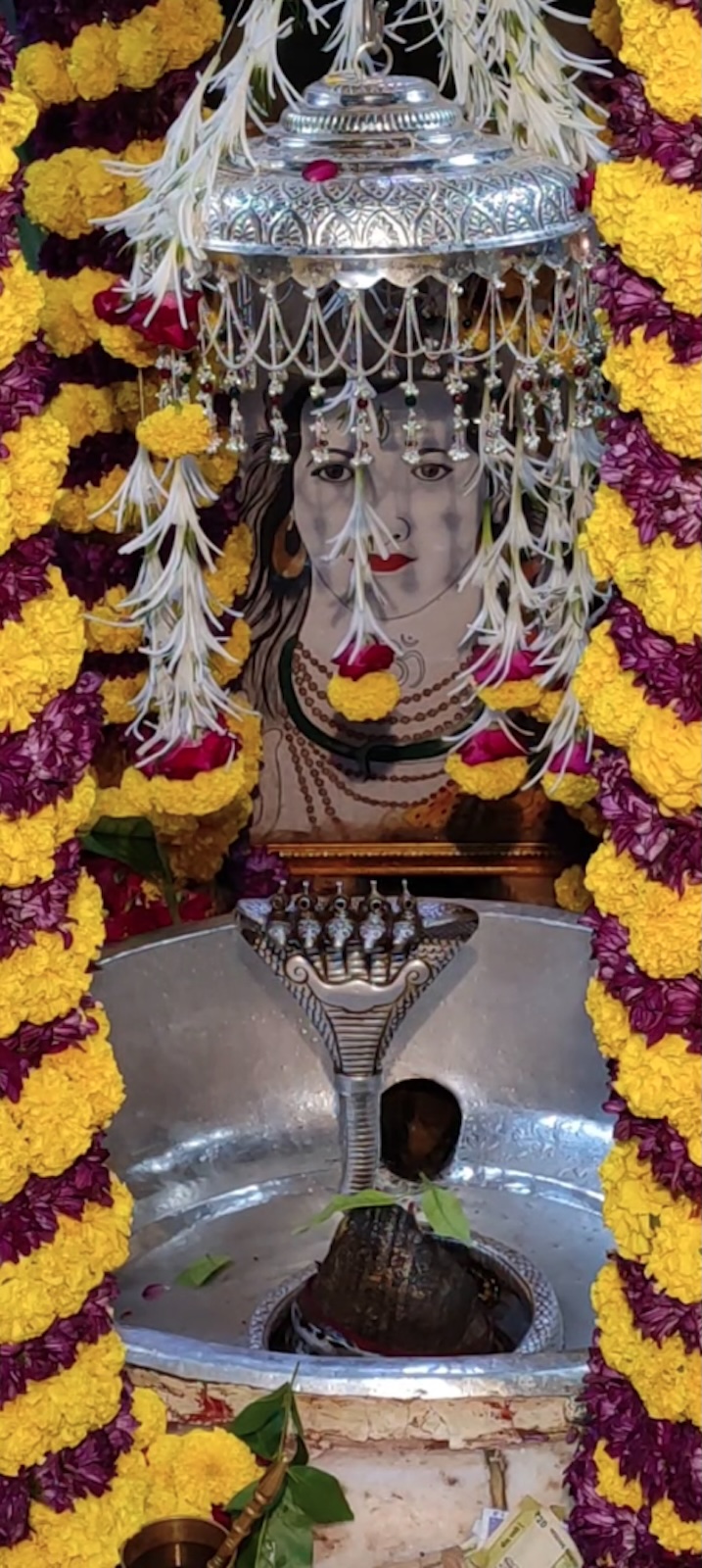 Rudrabhishek to Shree Kubereshwar Mahadev