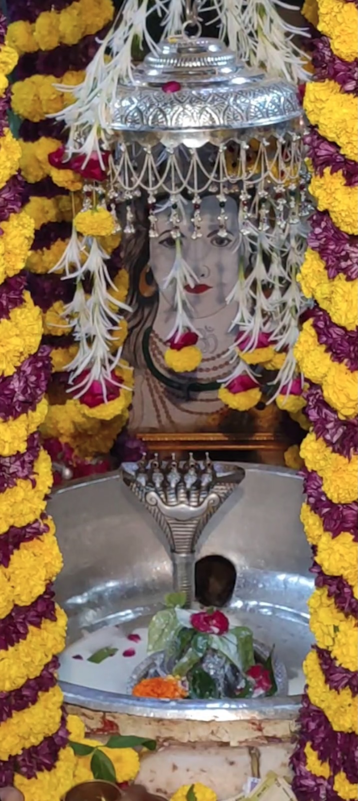 Rudrabhishek to Shree Kubereshwar Mahadev
