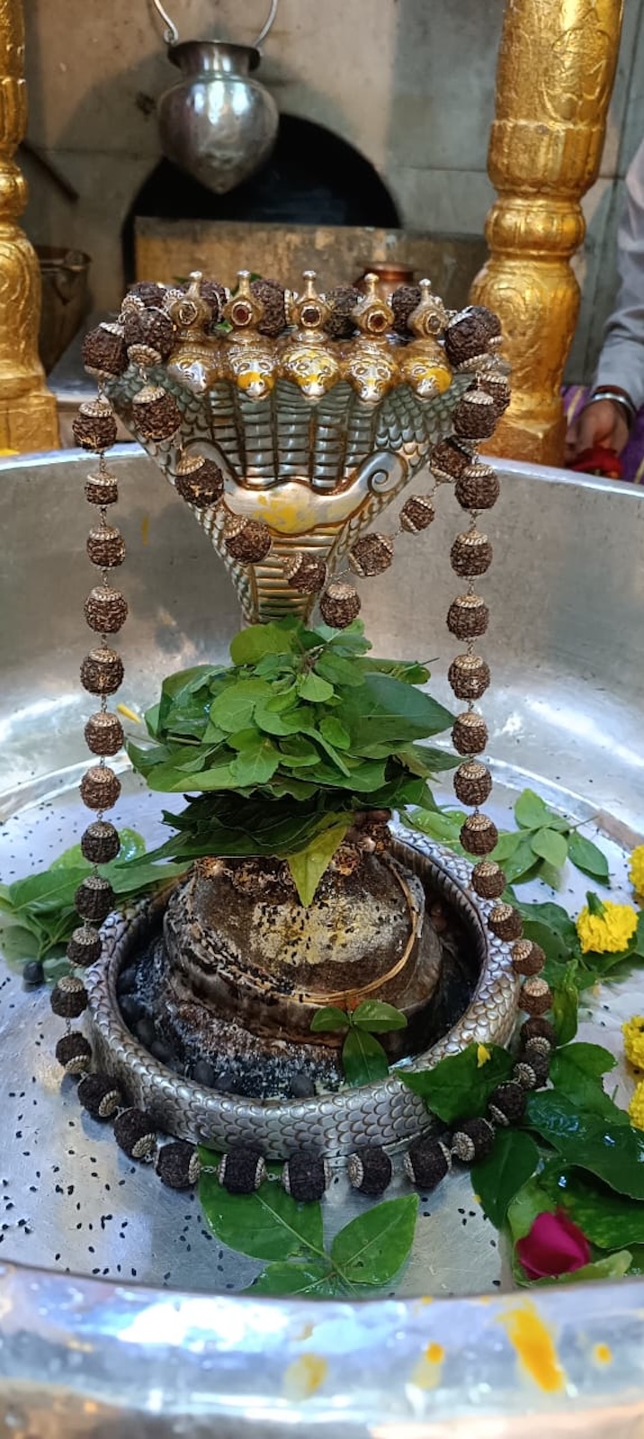 Rudrabhishek to Shree Kubereshwar Mahadev