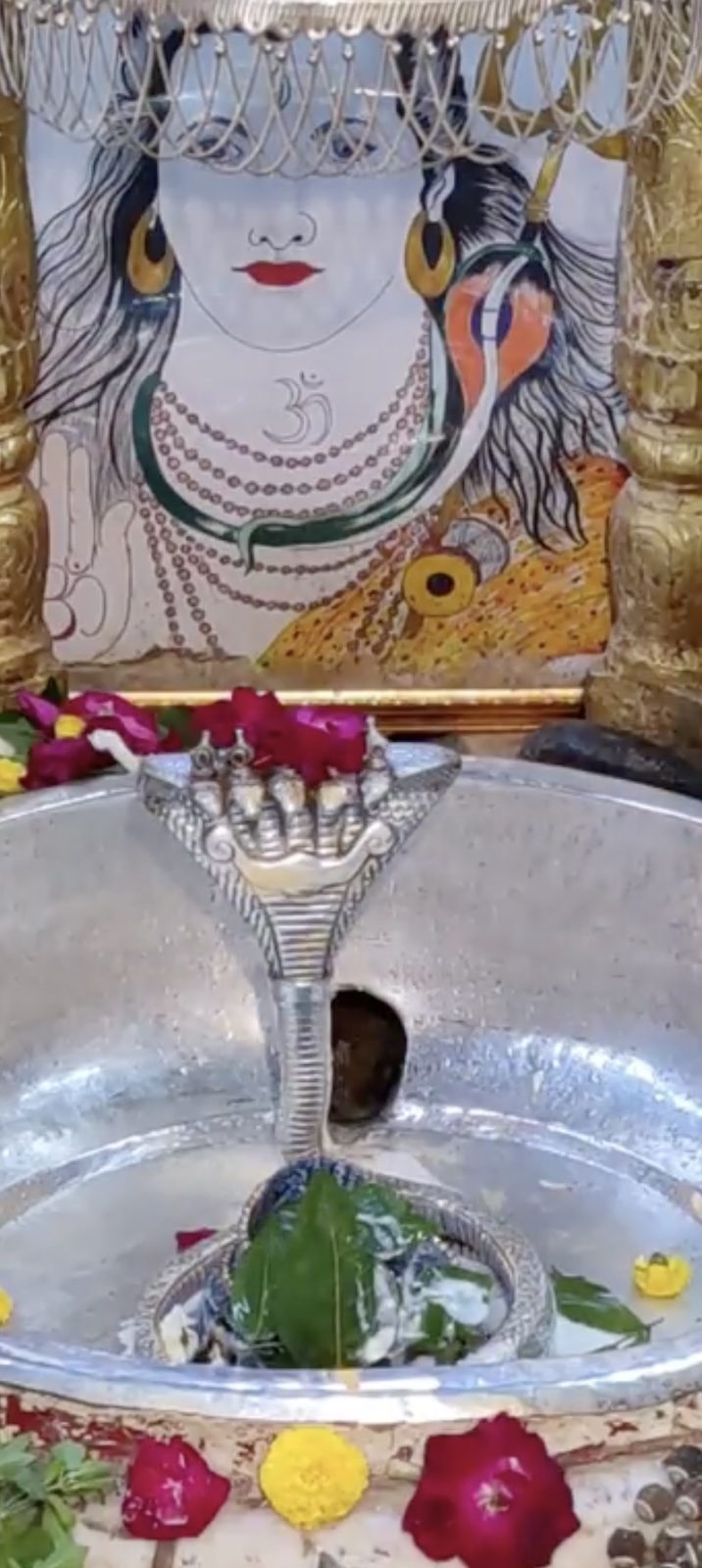Rudrabhishek to Shree Kubereshwar Mahadev