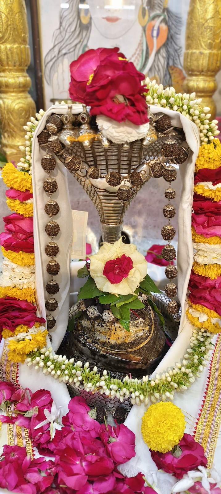 Rudrabhishek to Shree Kubereshwar Mahadev