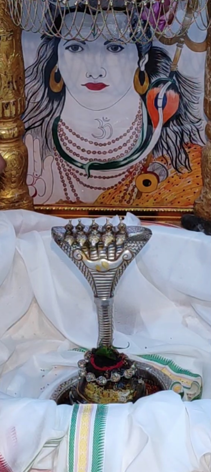 Rudrabhishek to Shree Kubereshwar Mahadev