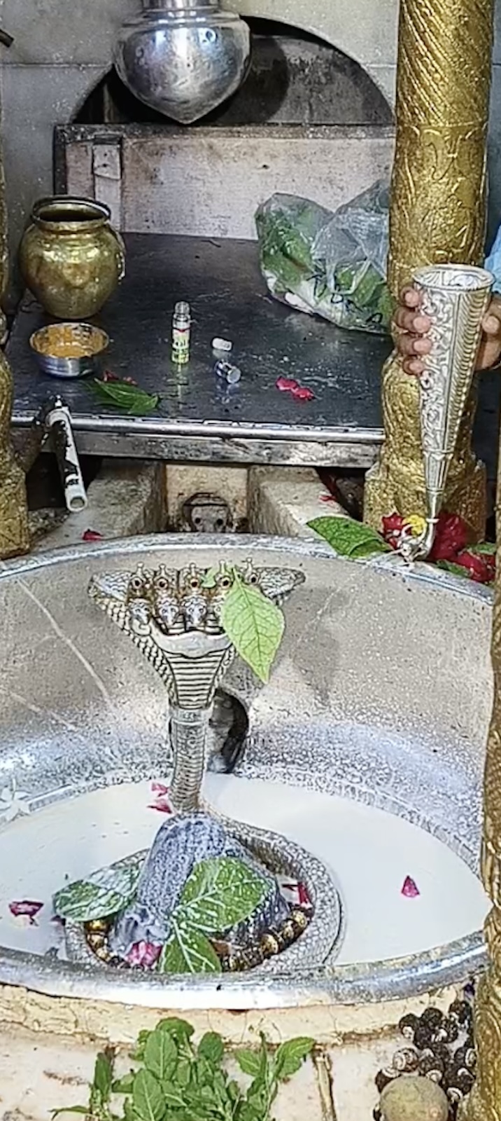 Rudrabhishek to Shree Kubereshwar Mahadev